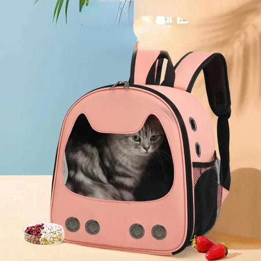 Small Size Cat Theme Pet Backpack