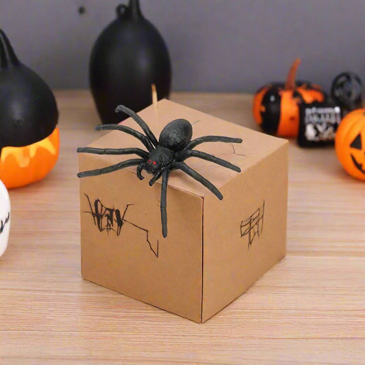 Pop Up Spider Scare Prank Box