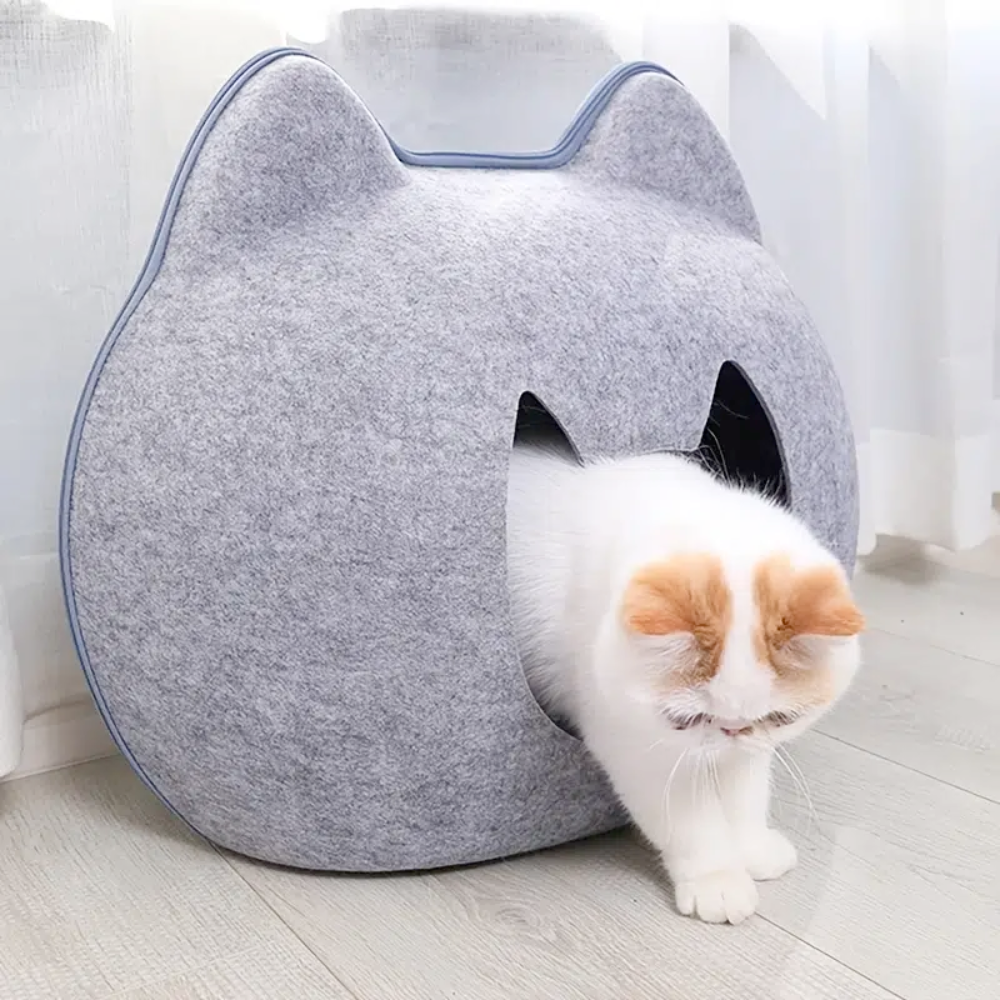 Adorable Cat Shape All Season Pet House – Onetify